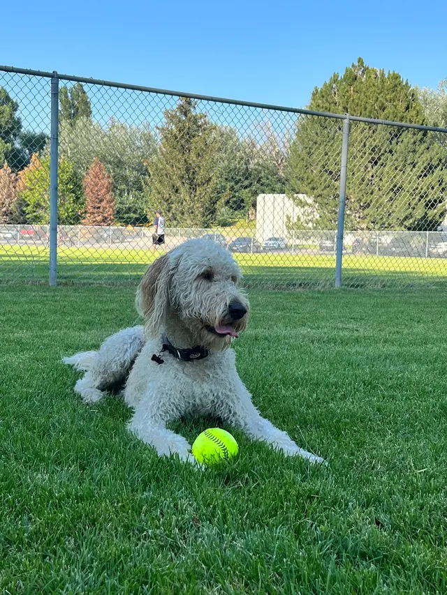 Tautphaus Park Elk Softball Field — customer photo 12