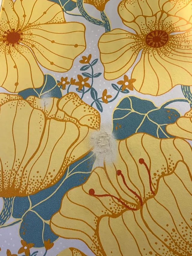 Wallpaper Installer | Houston Wallpapering | Wallpaper Store — customer photo 8