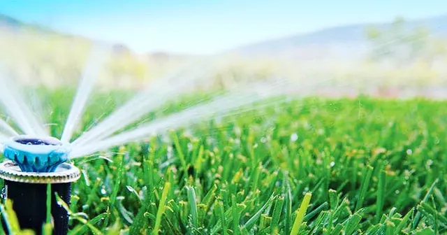 Scottsdale Flow Irrigation — photo from the business 10