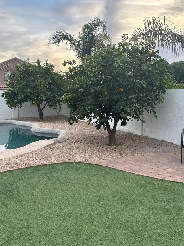 Scottsdale Flow Irrigation — customer photo 6