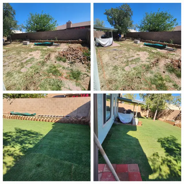 Lee's Trees and Irrigation — photo from the business 3