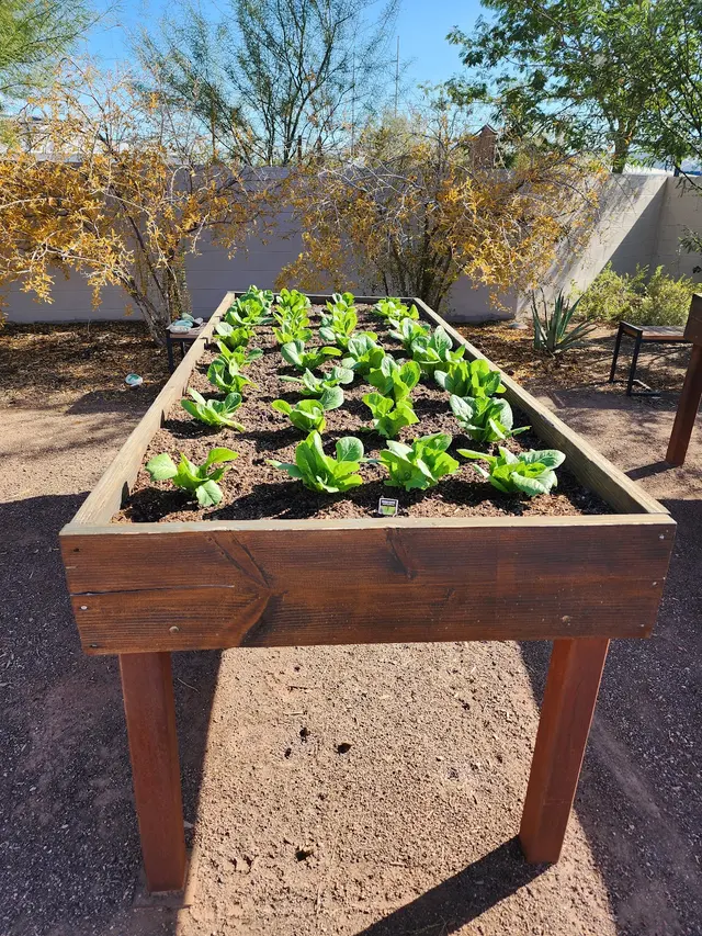 Lee's Trees and Irrigation — photo from the business 7
