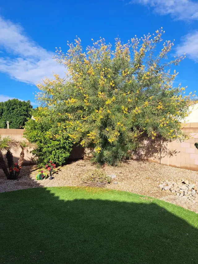 Lee's Trees and Irrigation — photo from the business 11