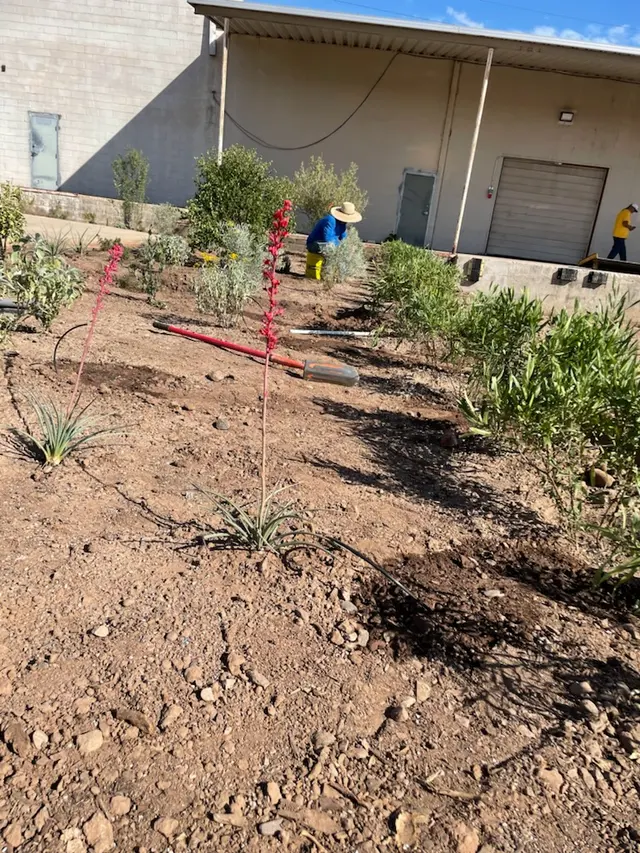 Lee's Trees and Irrigation — photo from the business 8