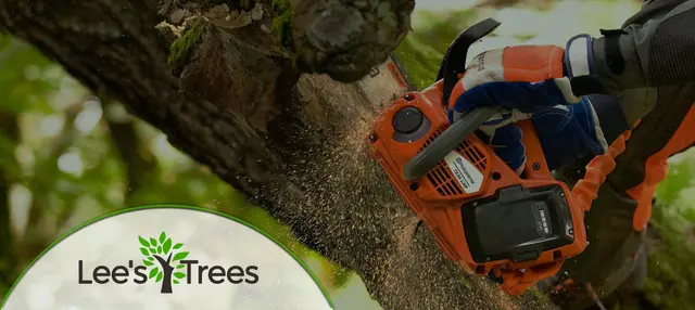 Lee's Trees and Irrigation — photo from the business 1