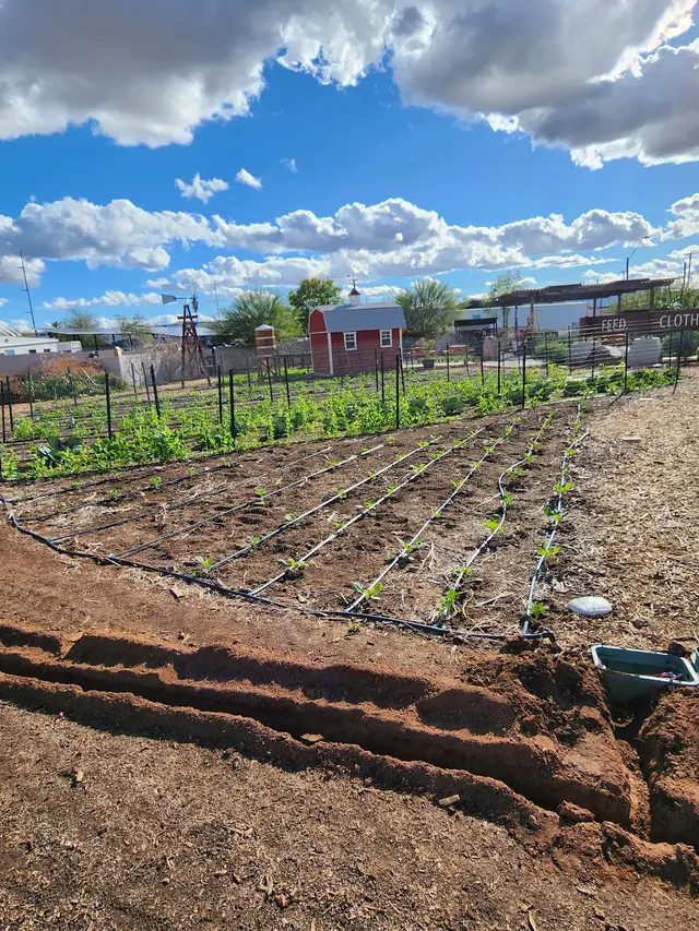 Lee's Trees and Irrigation — photo from the business 4