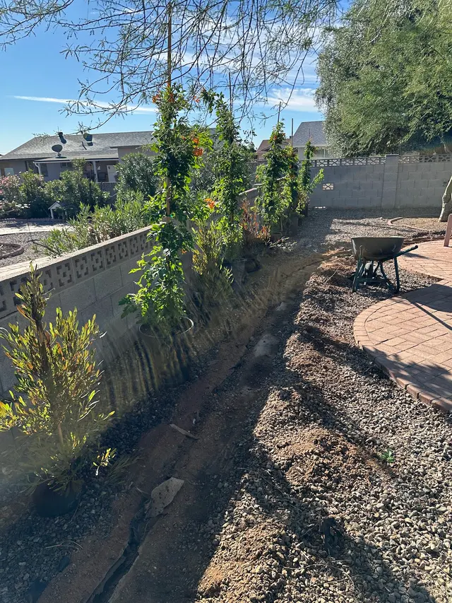 Desert Rose Landscaping LLC. — photo from the business 8