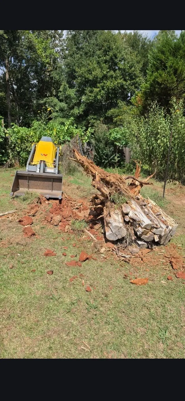Customer photo of work by Topala Industries Junk Removal & Demolition, from Danil Botnaru's review