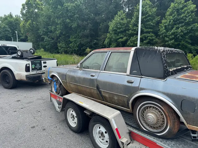 Cash Junk Removal and Moving — photo from the business 6