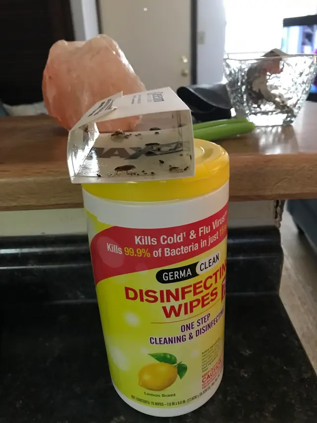 Getem Services — customer photo 7