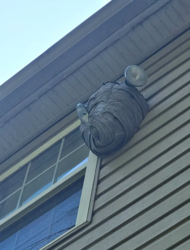Accel Pest & Termite Control — customer photo 10