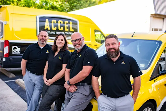 Accel Pest & Termite Control — photo from the business 1