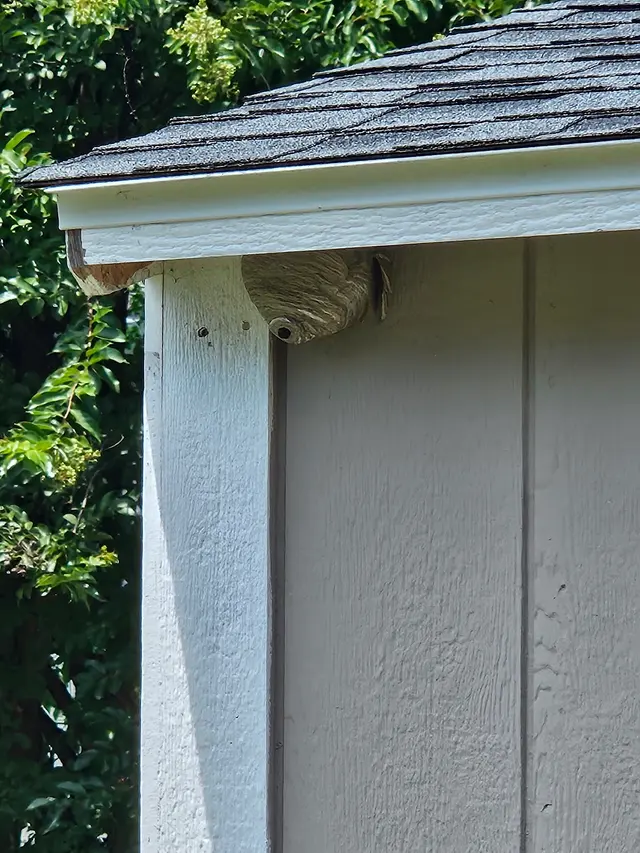 Accel Pest & Termite Control — customer photo 9