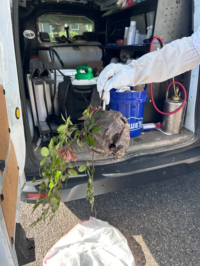 Accel Pest & Termite Control — customer photo 8