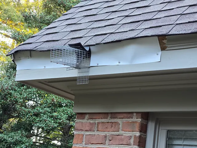 Accel Pest & Termite Control — customer photo 5
