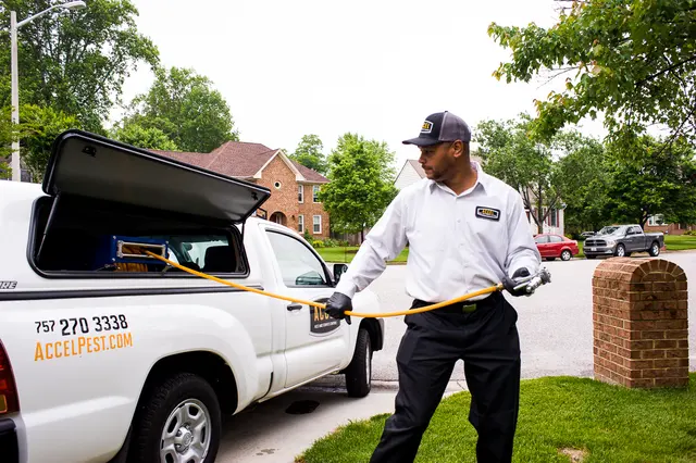 Accel Pest & Termite Control — photo from the business 4