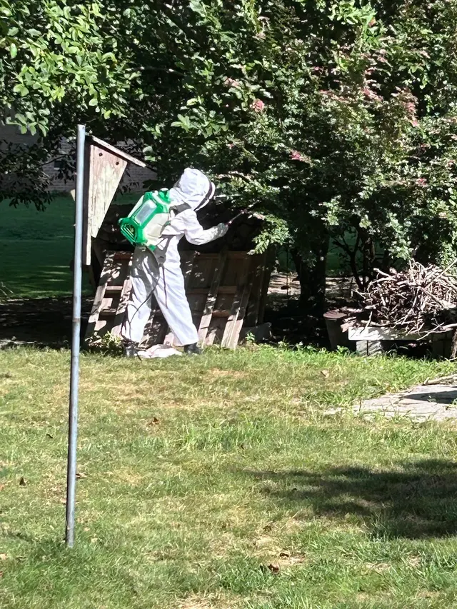Accel Pest & Termite Control — customer photo 6
