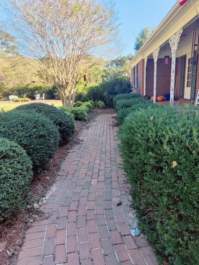 Coastal Pest Control LLC — customer photo 12