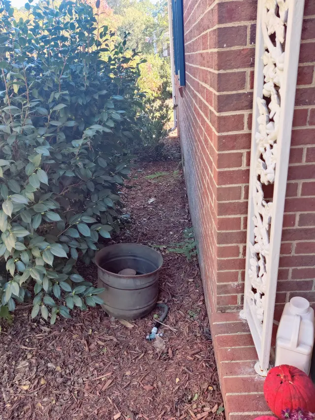Coastal Pest Control LLC — customer photo 8