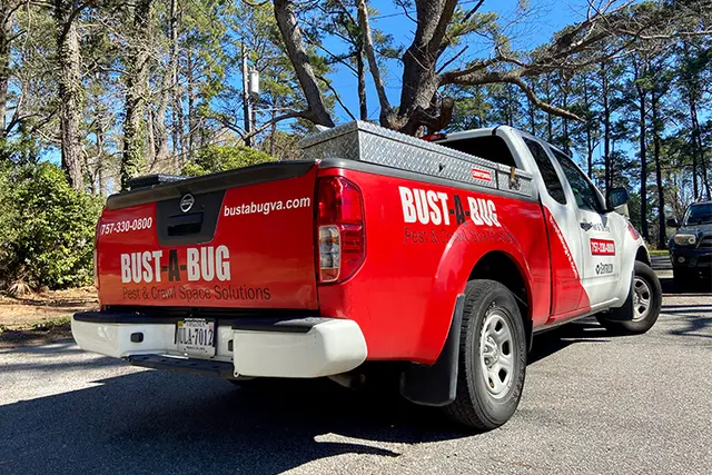 Bust-A-Bug Pest Solutions — photo from the business 1