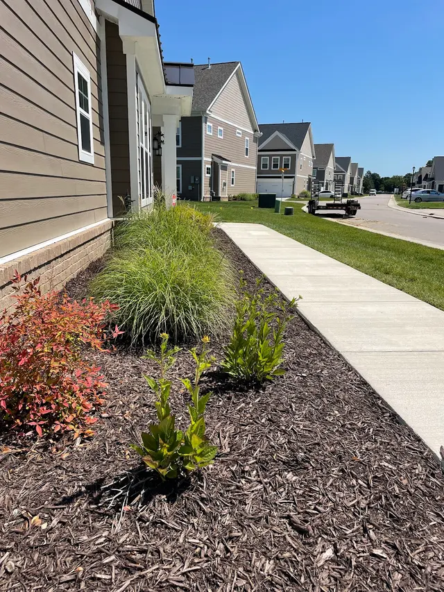Bust-A-Bug Pest Solutions — photo from the business 5