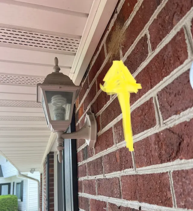 Customer photo from Kathy's review