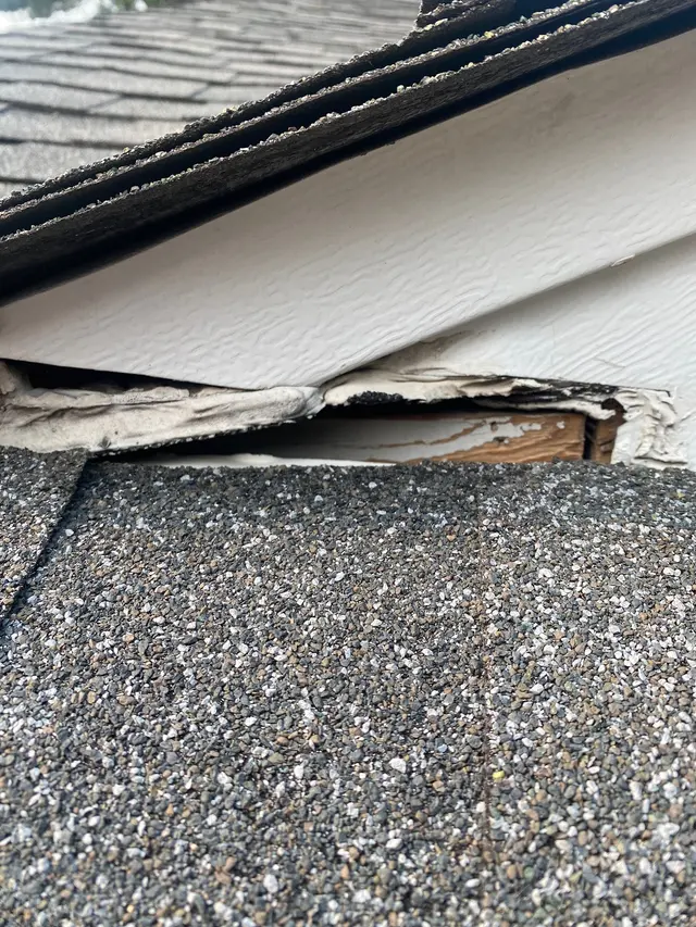Bust-A-Bug Pest Solutions — photo from the business 10