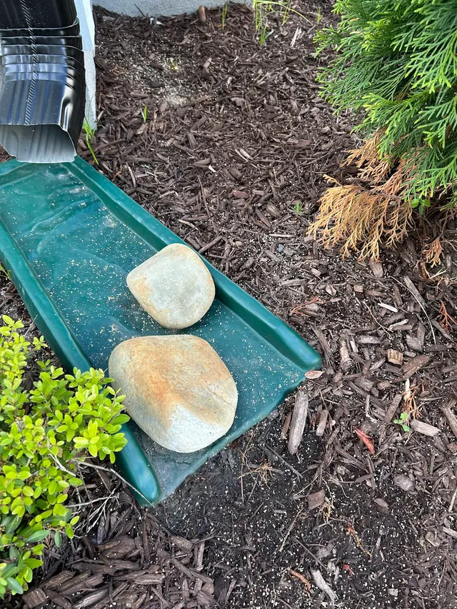 Bust-A-Bug Pest Solutions — customer photo 7