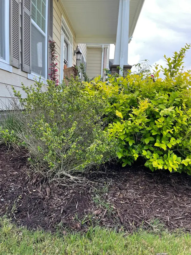 Bust-A-Bug Pest Solutions — photo from the business 8