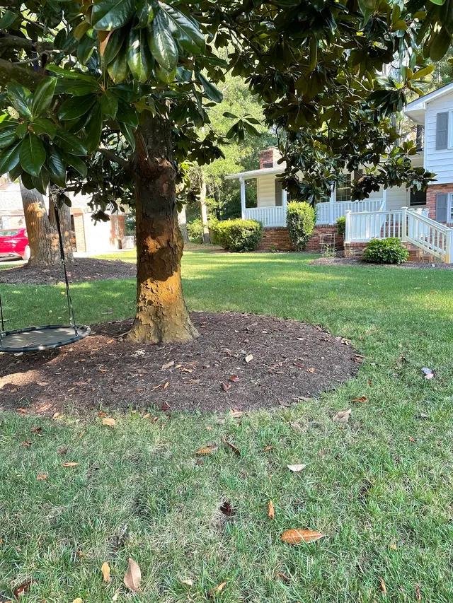 Bust-A-Bug Pest Solutions — photo from the business 4