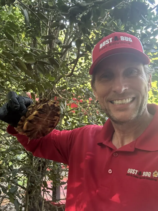 Bust-A-Bug Pest Solutions — photo from the business 2