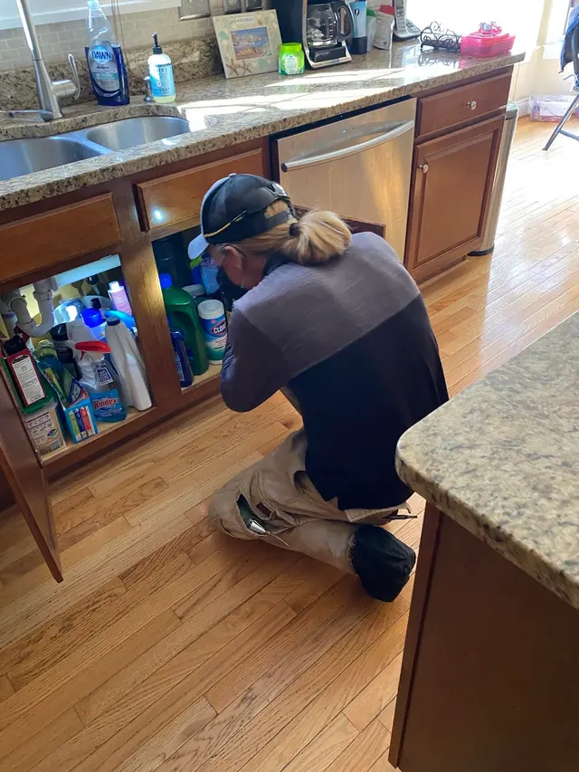 Spire Pest Control — photo from the business 8