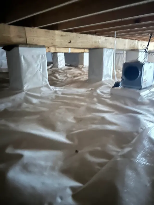 Spire Pest Control — photo from the business 2