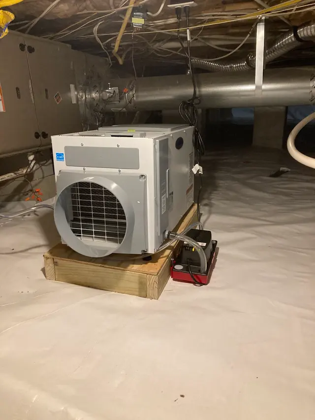 Spire Pest Control — photo from the business 11