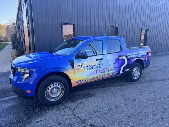 Chesapeake Pest Control — photo from the business 5