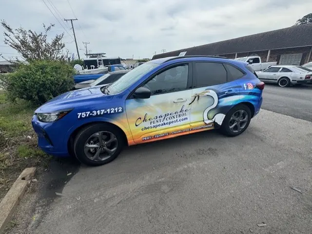 Chesapeake Pest Control — photo from the business 6