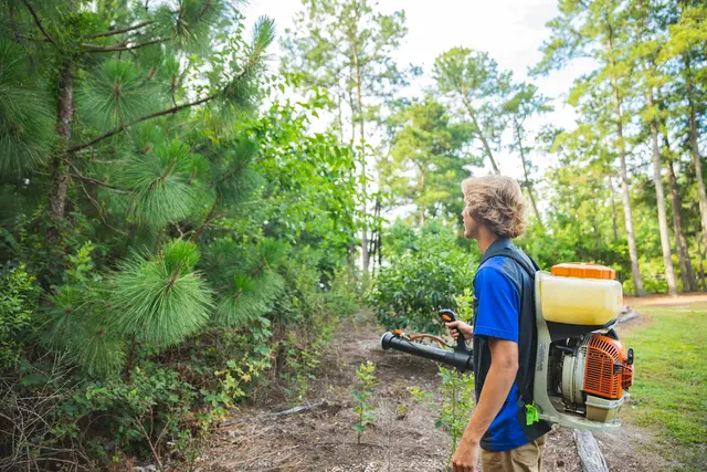 Chesapeake Pest Control — photo from the business 8