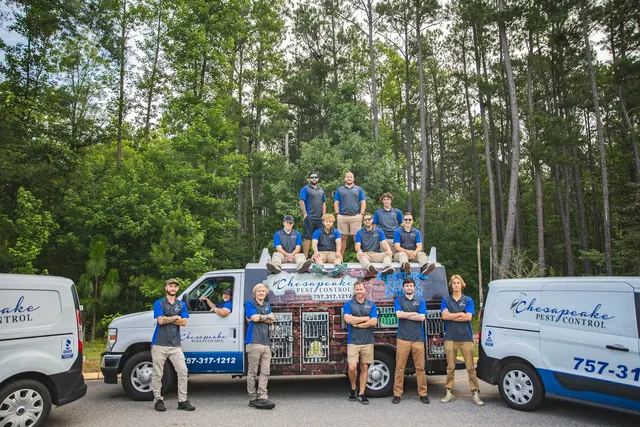 Chesapeake Pest Control — photo from the business 2