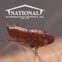 National Exterminating Company Inc — photo from the business 9