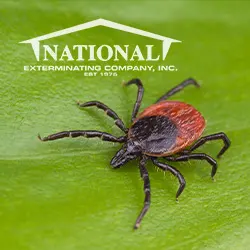 National Exterminating Company Inc — photo from the business 4