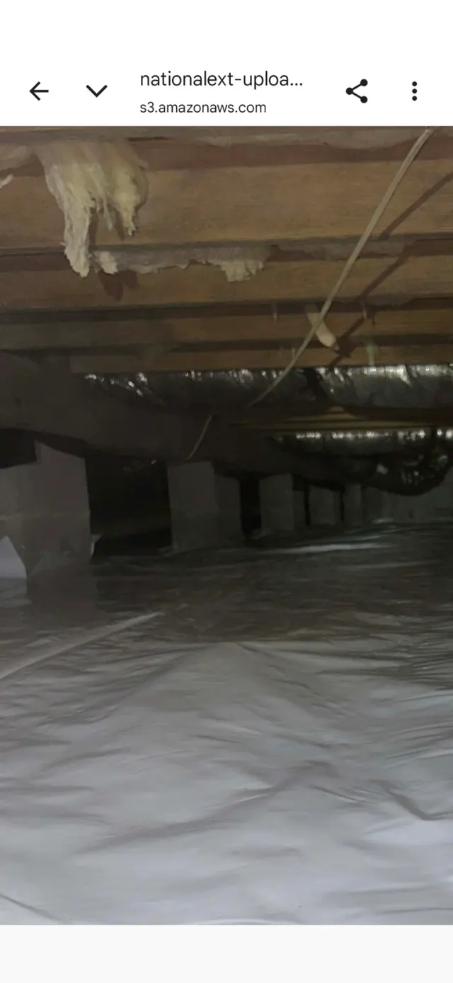 National Exterminating Company Inc — customer photo 12