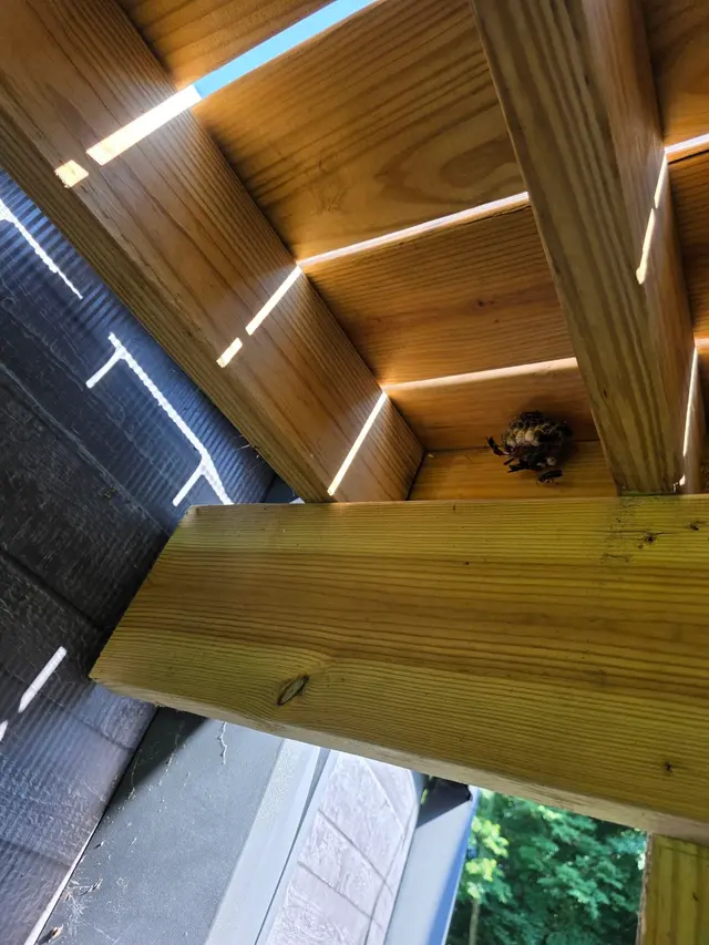 Terminix — customer photo 5