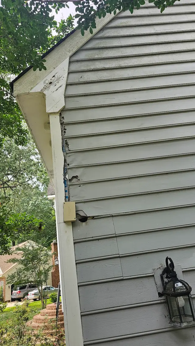 Terminix — customer photo 2