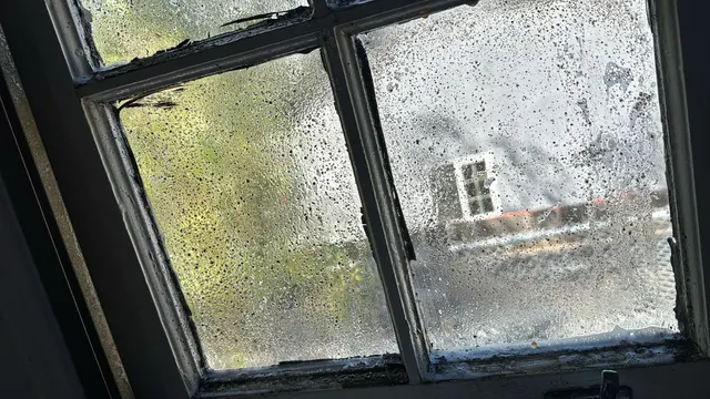 Fox Window & Gutter Cleaning Services — photo from the business 9