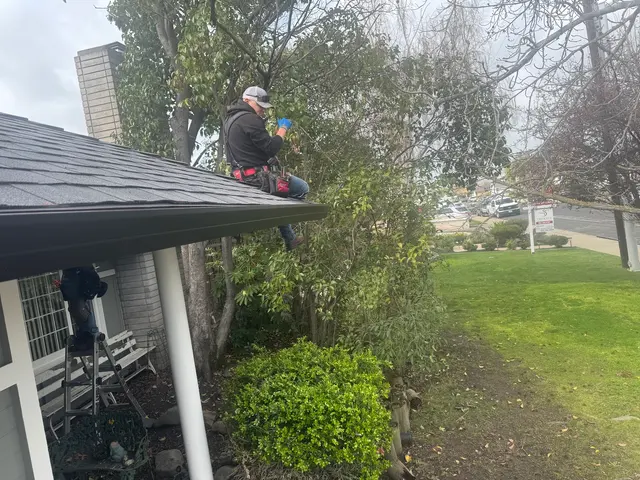Global Gutter Systems — photo from the business 9