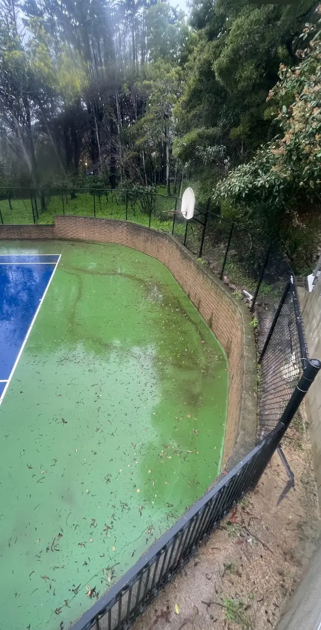 Blast Off Now Pressure Washing LLC — photo from the business 4