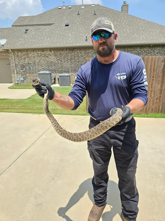 Blue Line Pest Police - Midlothian — photo from the business 6