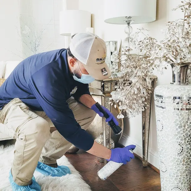 Brady Pest Control — photo from the business 12