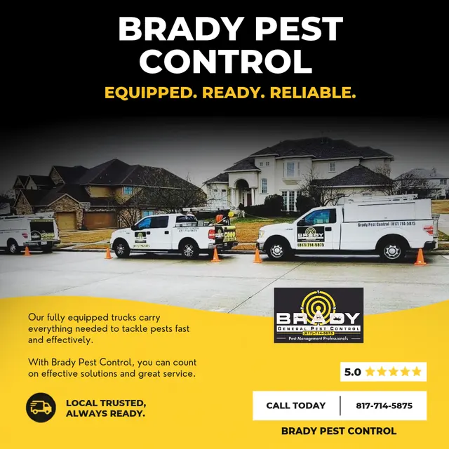 Brady Pest Control — photo from the business 4