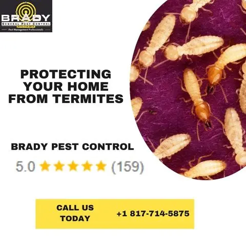Brady Pest Control — photo from the business 2